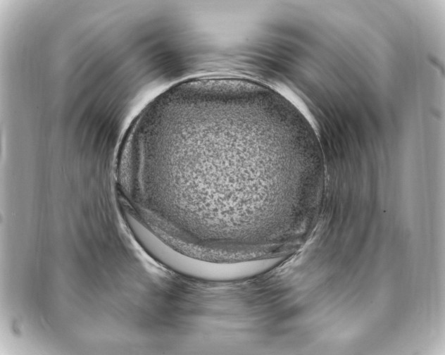 X0000094961485200712201148