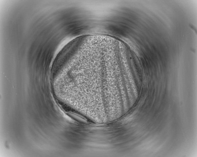 X0000094961486200712201148