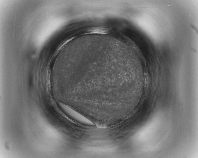 X0000094961487200712201148