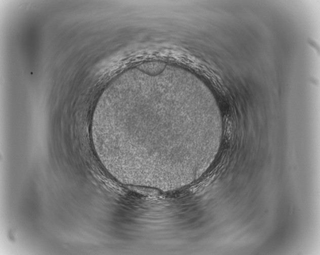 X0000094961489200712201148