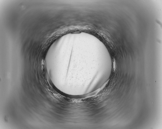 X0000094961492200712201148