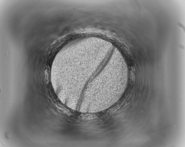 X0000094961493200712201148