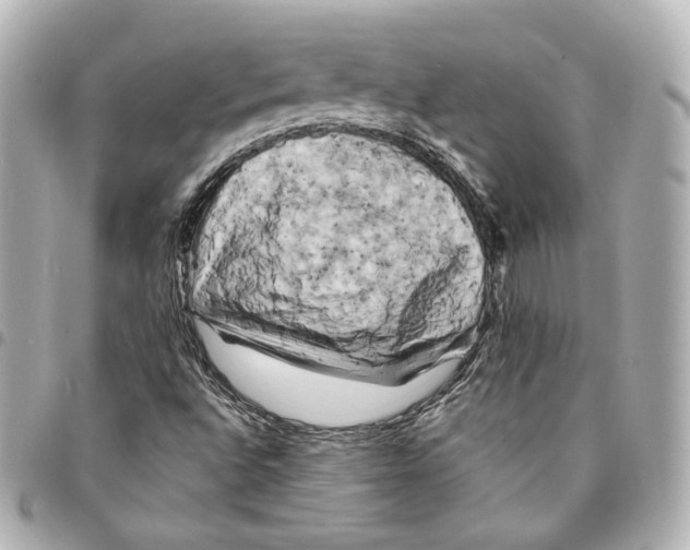 X0000094961496200712201148