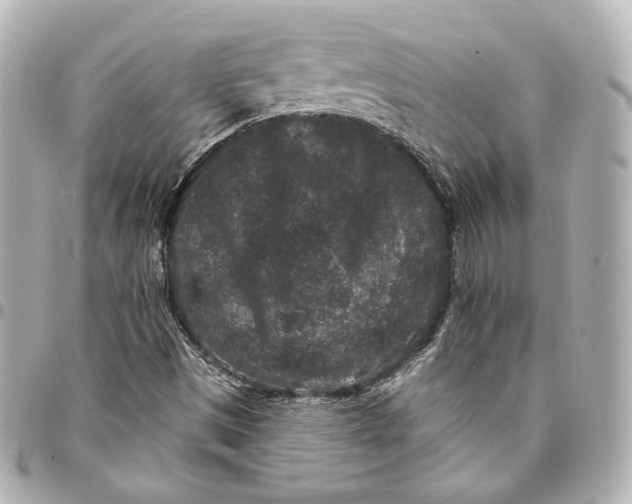 X0000094961497200712201148