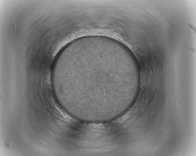 X0000094961498200712201148