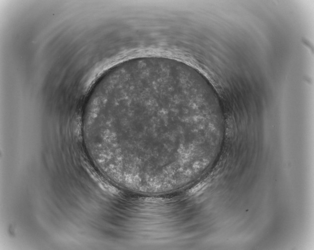 X0000094961499200712201148