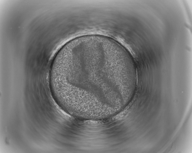 X0000094961500200712201148