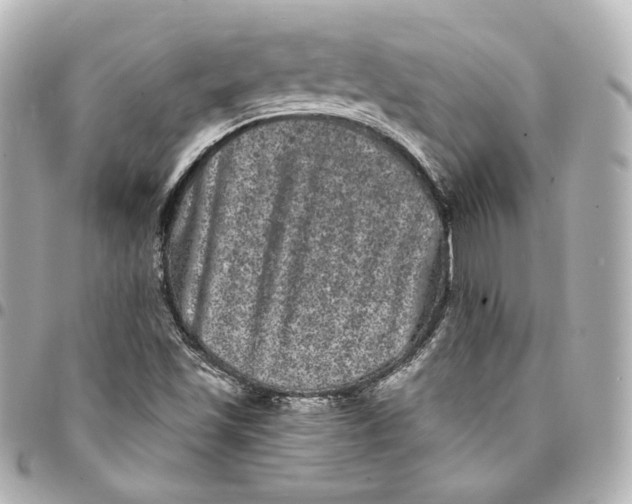 X0000094961501200712201148