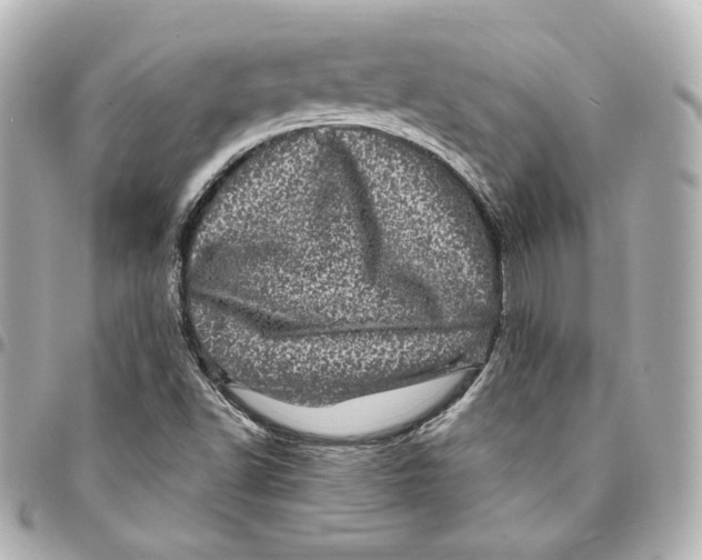 X0000094961502200712201148