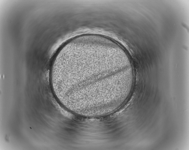 X0000094961503200712201148