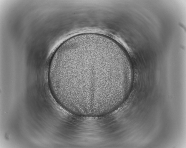 X0000094961504200712201148