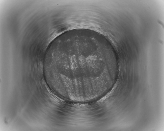 X0000094961505200712201148