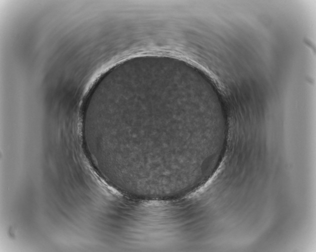 X0000094961506200712201148