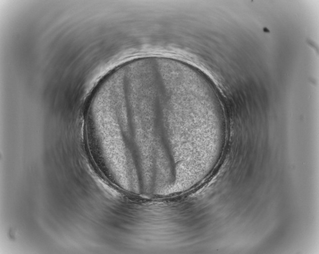 X0000094961507200712201148