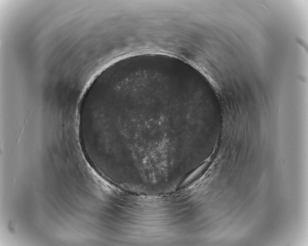 X0000094961508200712201148