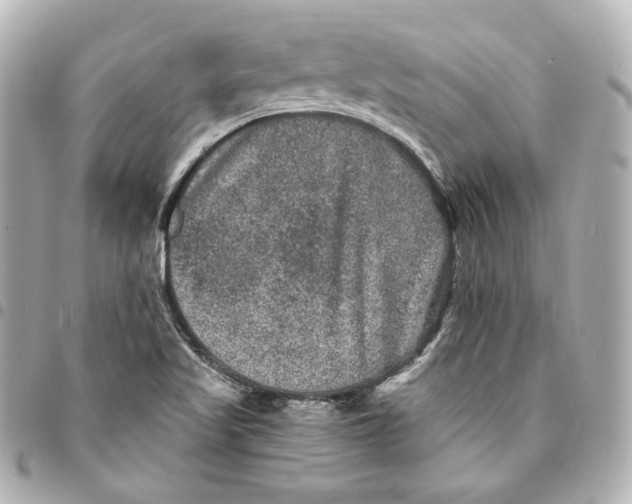 X0000094961509200712201148