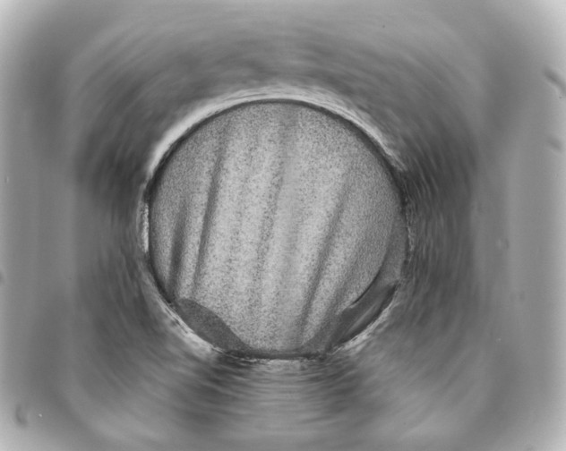 X0000094961510200712201148