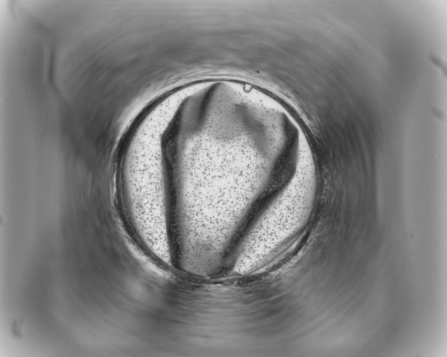 X0000094961511200712201148