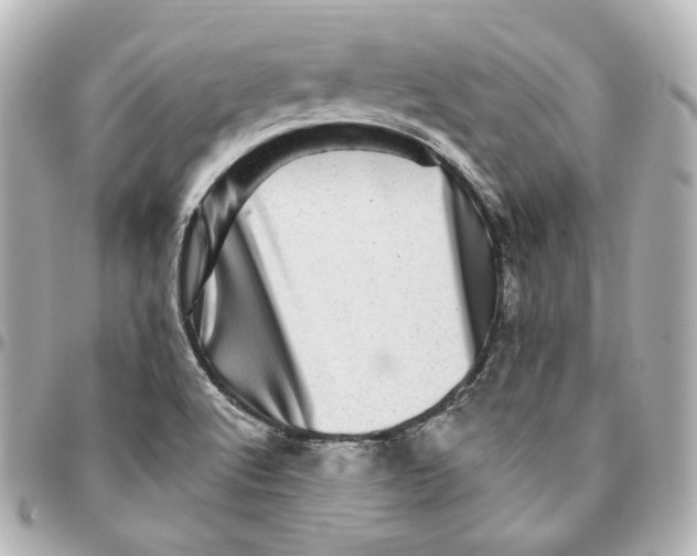 X0000094961512200712201148