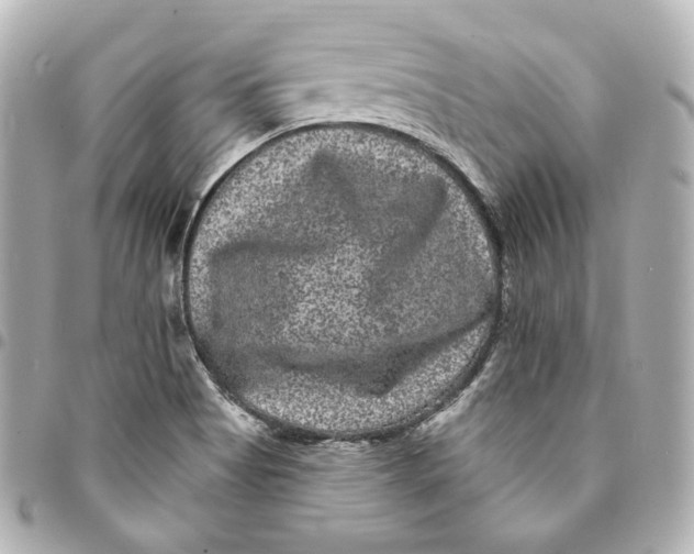 X0000094961513200712201148