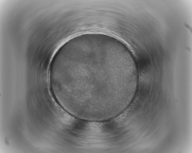 X0000094961514200712201148