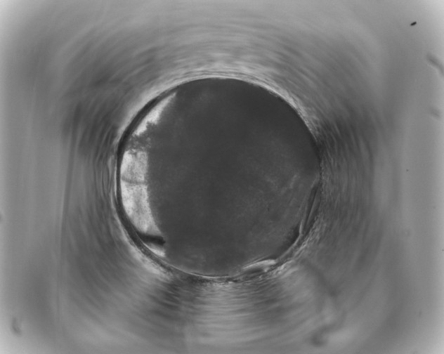 X0000094961515200712201148