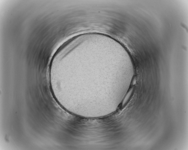 X0000094961516200712201148