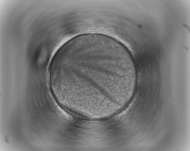 X0000094961517200712201148