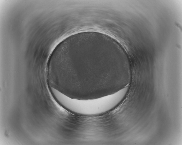 X0000094961519200712201148