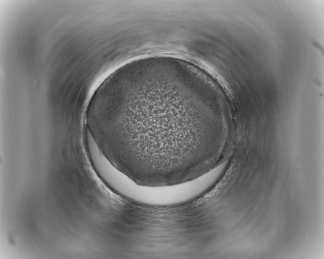 X0000094961520200712201148