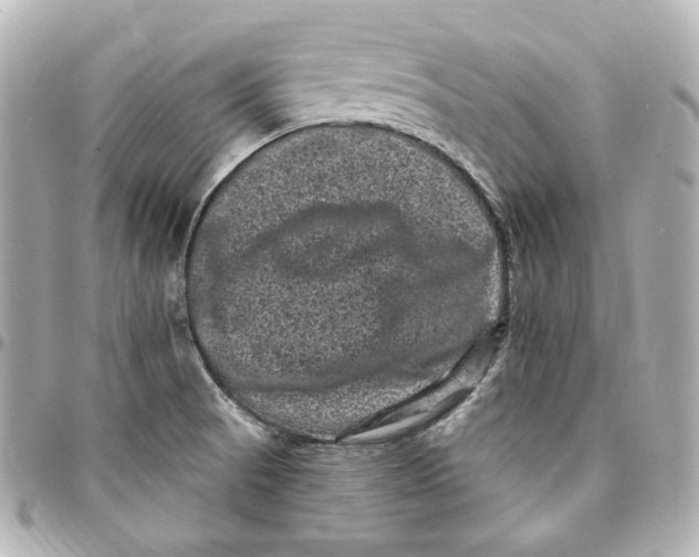 X0000094961521200712201148