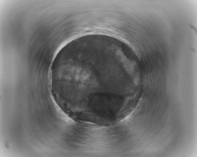 X0000094961522200712201148