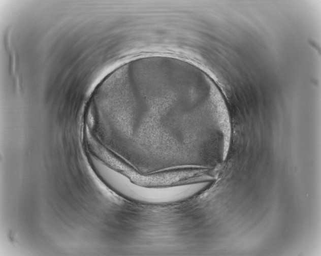 X0000094961523200712201148