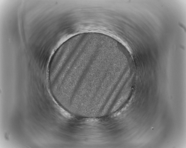 X0000094961525200712201148