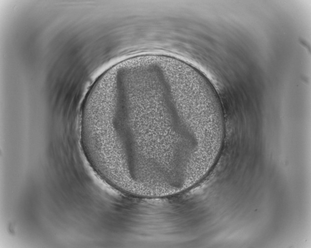 X0000094961526200712201148