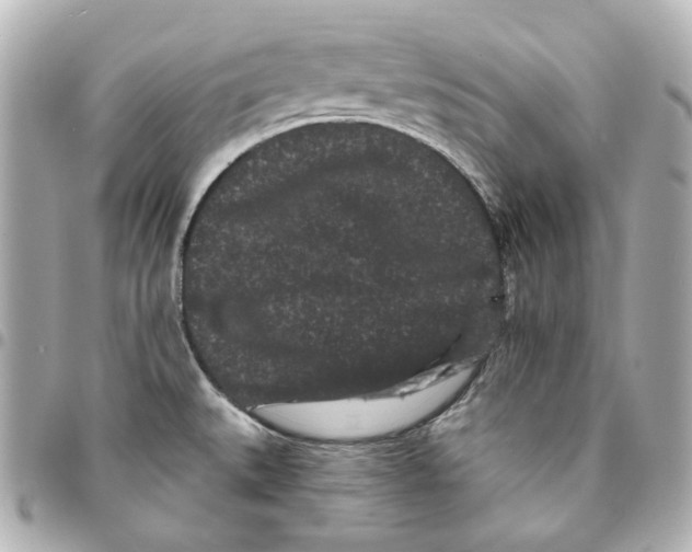 X0000094961527200712201148