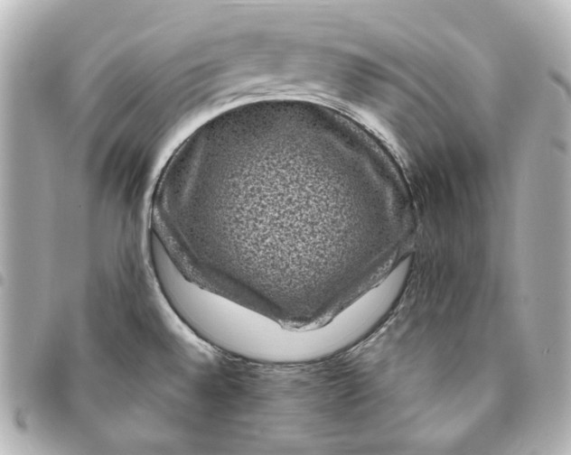 X0000094961528200712201148