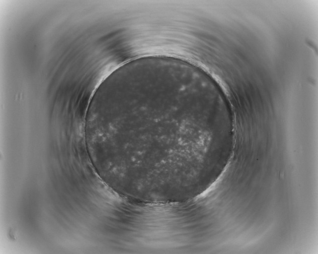 X0000094961529200712201148