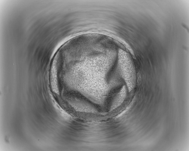 X0000094961530200712201148