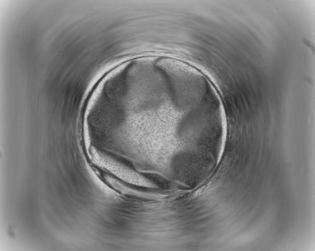 X0000094961531200712201148