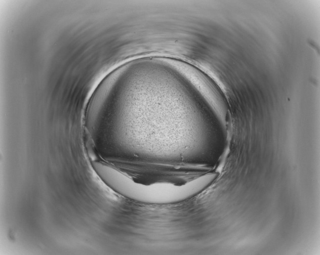 X0000094961532200712201148