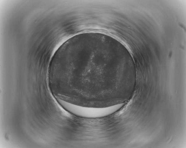 X0000094961533200712201148