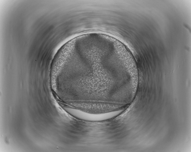 X0000094961534200712201148