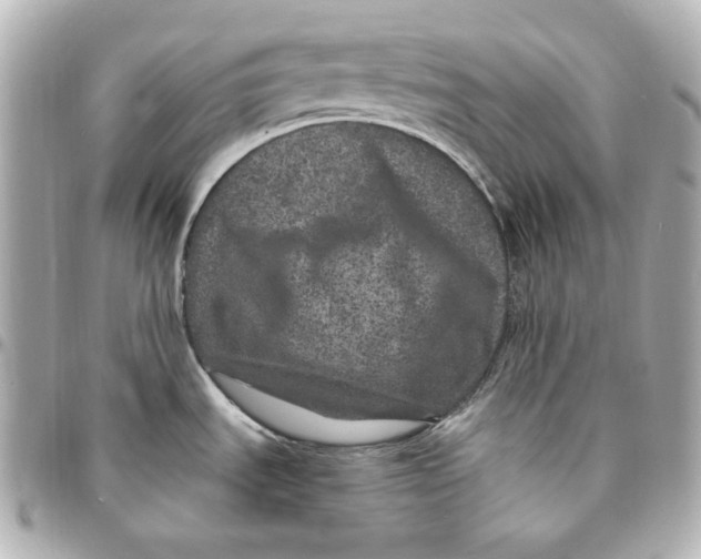 X0000094961535200712201148