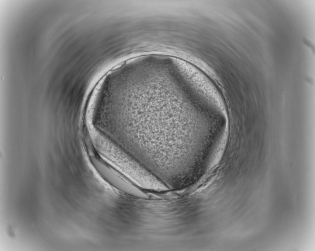 X0000094961536200712201148