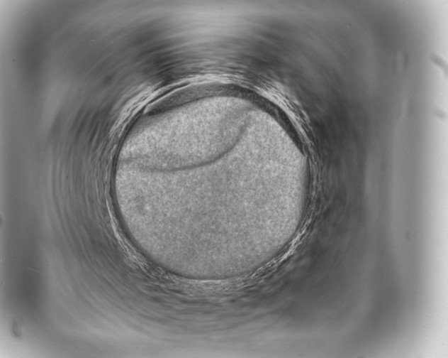 X0000094960001200712271730
