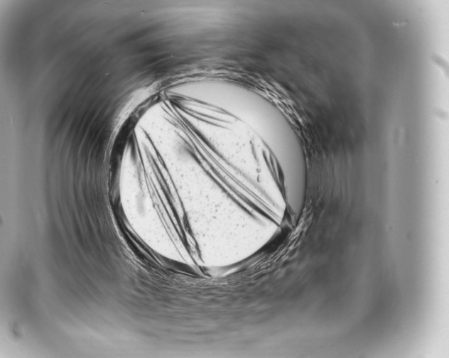 X0000094960003200712271730