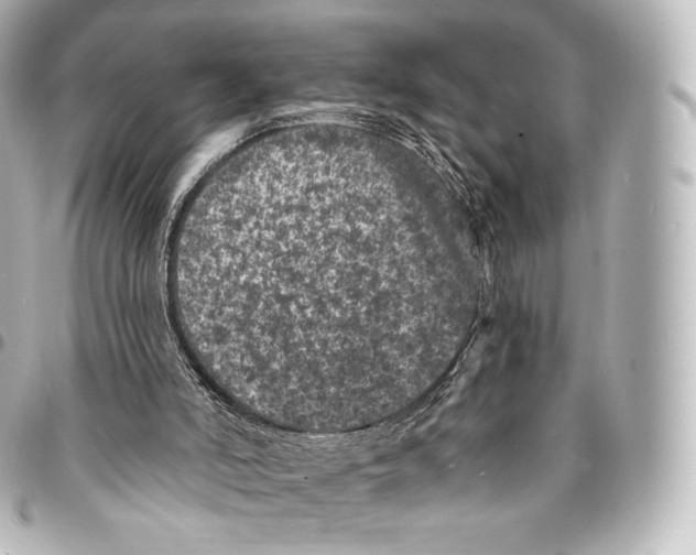 X0000094960006200712271730