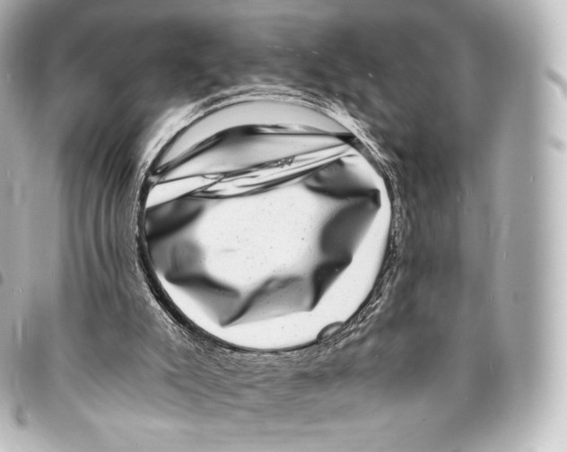 X0000094960007200712271730