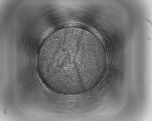 X0000094960010200712271730